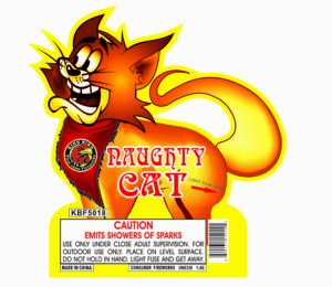 NAUGHTY CAT