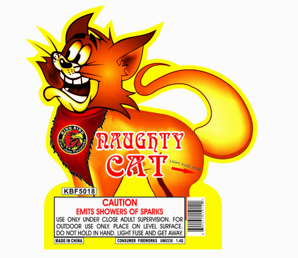 NAUGHTY CAT