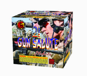 21 GUN SALUTE 21SHOTS