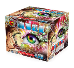 NOW YOU SEE ME