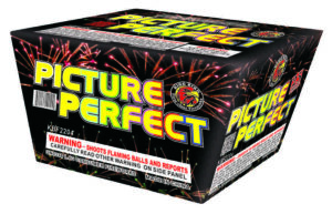 PICTURE PERFECT 25SHOTS