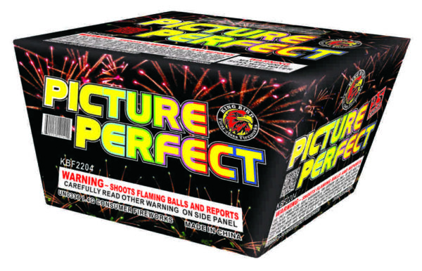 PICTURE PERFECT 25SHOTS