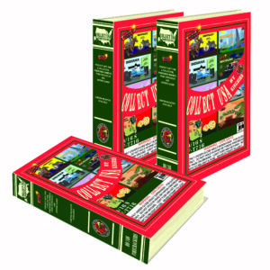 COLLECT USA FIRECRACKER