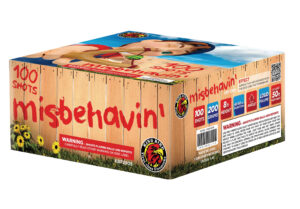 MISBEHAVIN' 100 SHOTS